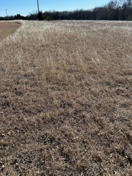 Sherman, TX 75092 Grayson County