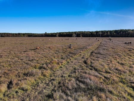 Hull, TX 77564 Liberty County