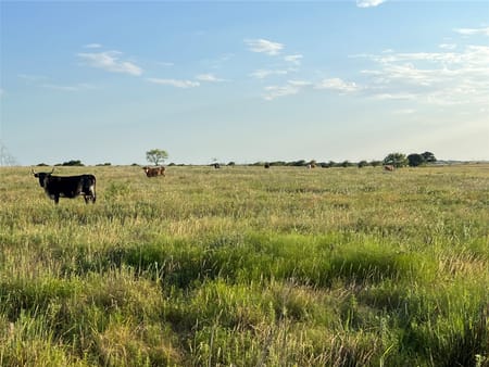 Joshua, TX 76044 Johnson County