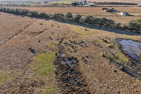 Devers, TX 77538 Liberty County