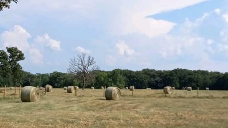 Como, TX 75431 Hopkins County