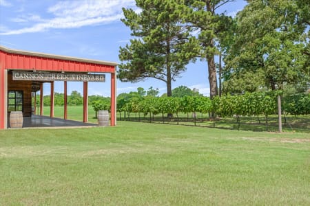 Canton, TX 75103 Van Zandt County