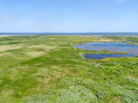 Galveston, TX 77554 Galveston County