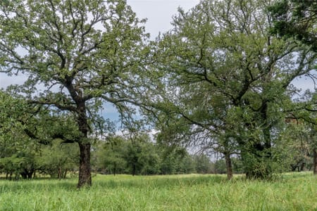 Tolar, TX 76476 Hood County
