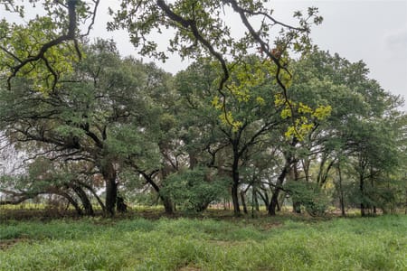 Tolar, TX 76476 Hood County
