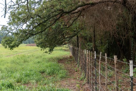 Tolar, TX 76476 Hood County