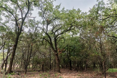 Tolar, TX 76476 Hood County