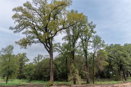 Tolar, TX 76476 Hood County