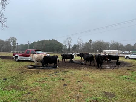 Dayton, TX 77535 Liberty County