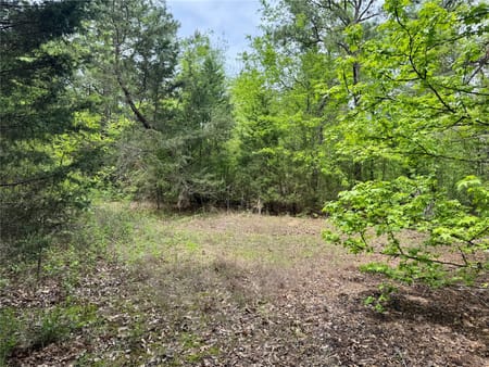 Naples, TX 75568 Cass County