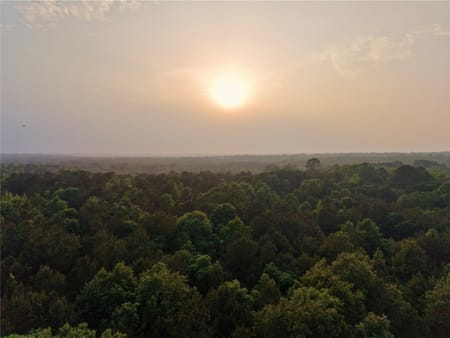 Naples, TX 75568 Cass County