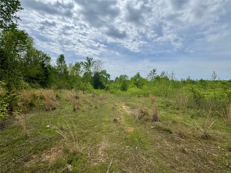 Naples, TX 75568 Cass County