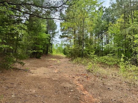 Naples, TX 75568 Cass County