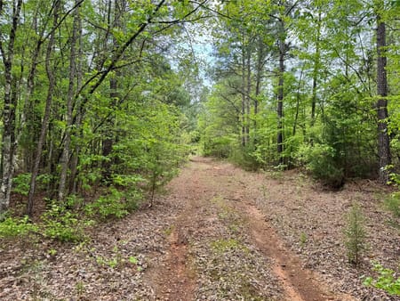 Naples, TX 75568 Cass County