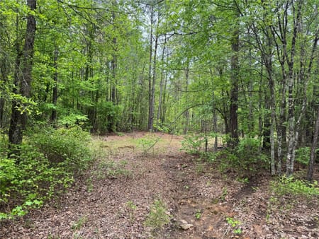 Naples, TX 75568 Cass County