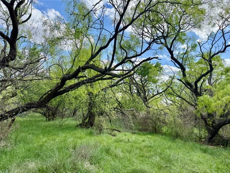 Ovalo, TX 79541 Taylor County