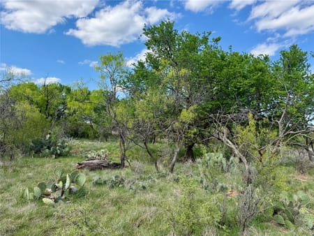 Ovalo, TX 79541 Taylor County