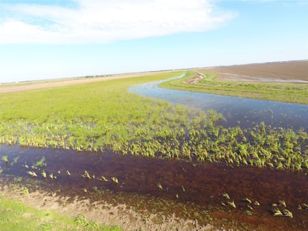 Palacios, TX 77465 Matagorda County