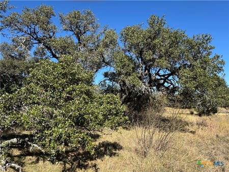 San Saba, TX 76877 San Saba County