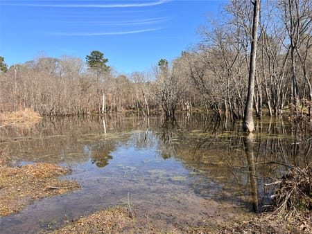 Conroe, TX 77304 Montgomery County