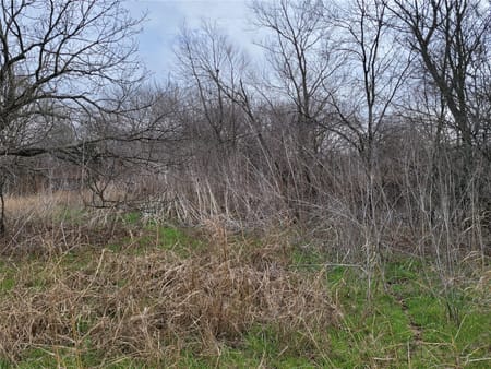 Coyote Flats, TX 76031 Johnson County