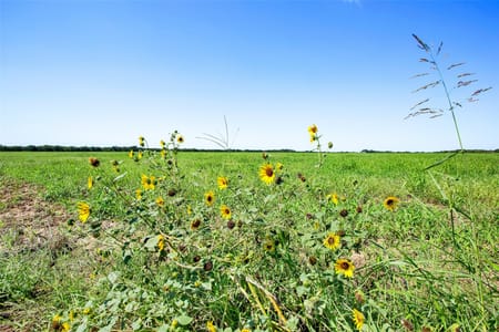 Tioga, TX 76271 Grayson County