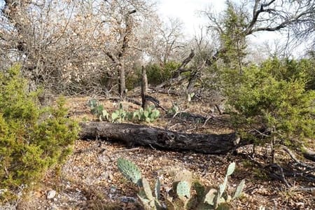 San Saba, TX 76877 San Saba County