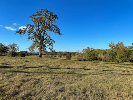 Montgomery, TX 77316 Montgomery County