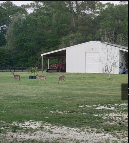 Lumberton, TX 77657 Jefferson County