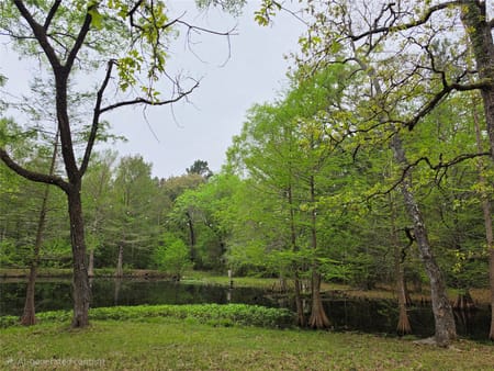 Lufkin, TX 75901 Angelina County