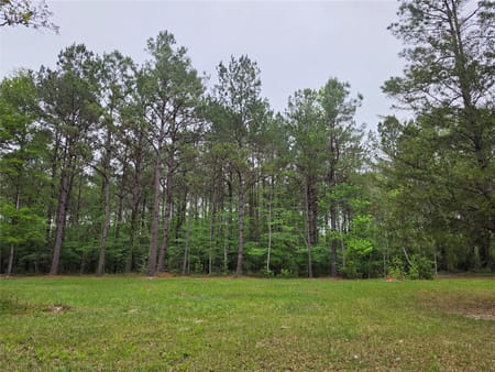 Lufkin, TX 75901 Angelina County