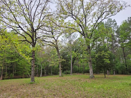 Lufkin, TX 75901 Angelina County