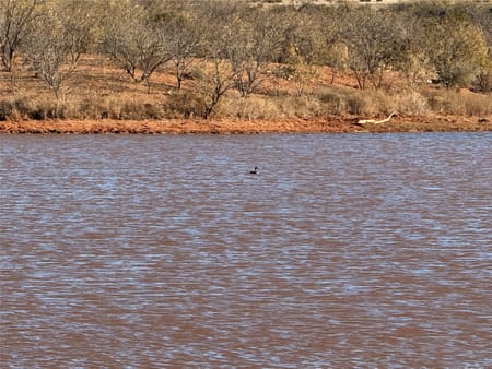 Ovalo, TX 79541 Taylor County