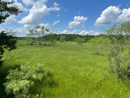 Denison, TX 75020 Grayson County