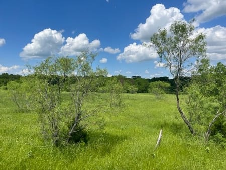 Denison, TX 75020 Grayson County