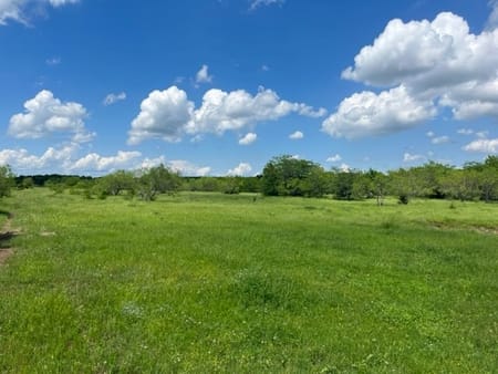Denison, TX 75020 Grayson County
