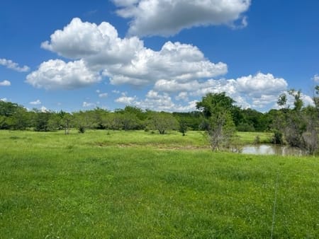 Denison, TX 75020 Grayson County