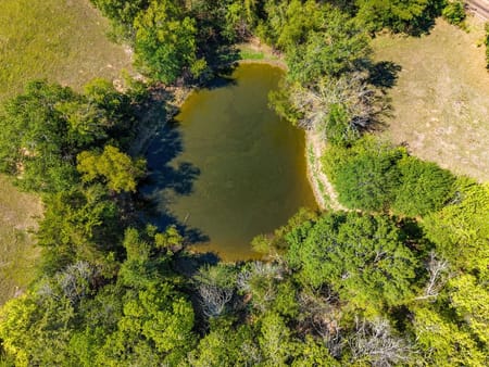 Grand Saline, TX 75140 Van Zandt County