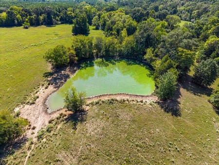 Grand Saline, TX 75140 Van Zandt County