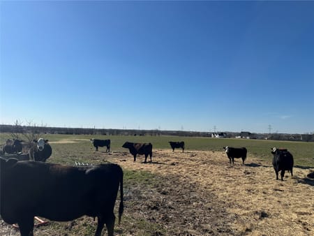 Cleburne, TX 76033 Johnson County