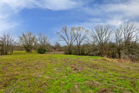 College Station, TX 77845 Brazos County