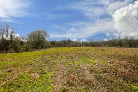 College Station, TX 77845 Brazos County