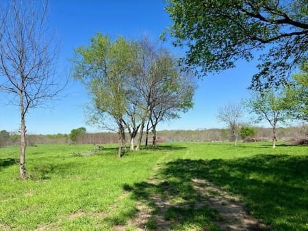 Wills Point, TX 75169 Van Zandt County