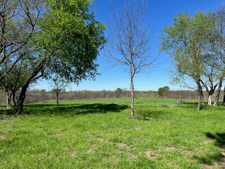 Wills Point, TX 75169 Van Zandt County