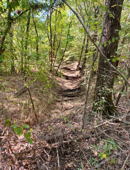 Bonham, TX 75418 Fannin County