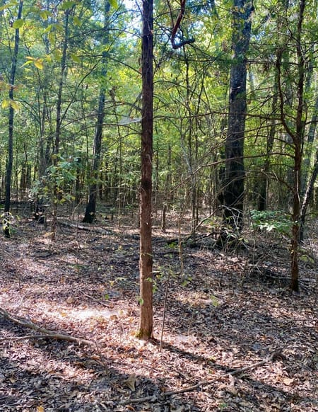 Bonham, TX 75418 Fannin County