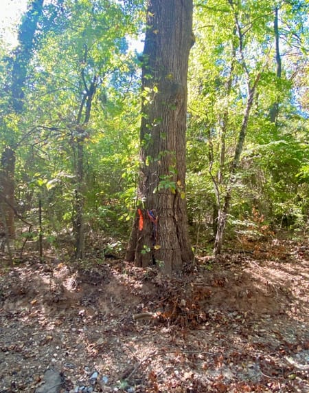 Bonham, TX 75418 Fannin County