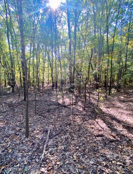 Bonham, TX 75418 Fannin County