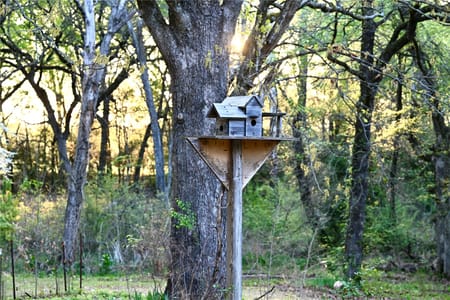 Telephone, TX 75488 Fannin County