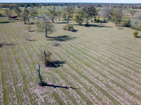 Hardin, TX 77575 Liberty County